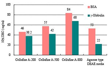 Adsorption capacity of Cellufine DEAE resin