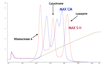 セルファインMAX陽イオン交換担体のモデルタンパクの分離パターン比較