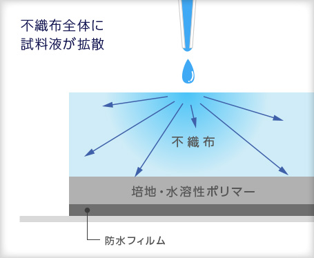 不織布全体に試料液が拡散