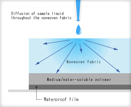 Diffusion of sample liquid throughout nonwoven fabric