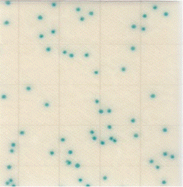 MC-Media Pad CC Coloring sample: for coliform bacteria 1
