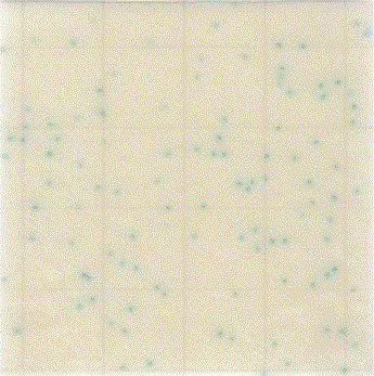 MC-Media Pad CC Coloring sample: for coliform bacteria 2