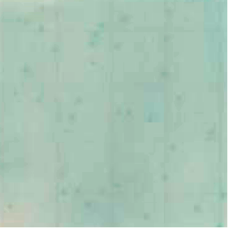MC-Media Pad EC Coloring sample: Food sample cheese