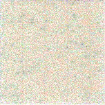 MC-Media Pad EC Coloring sample: E. coli 2