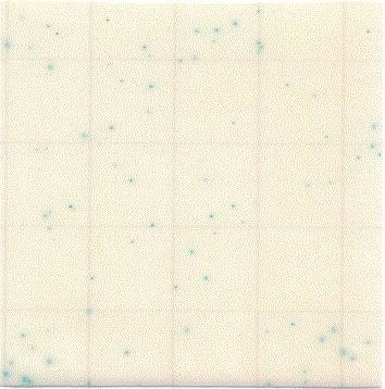 MC-Media Pad Salmonella　Coloring sample: Pre-enrichment culture solution stroke smear