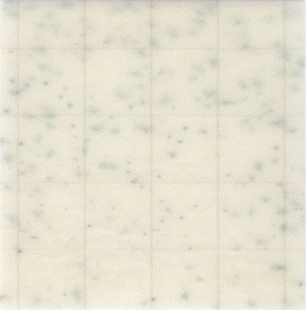 MC-Media Pad SA Coloring sample: Bacillus