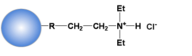 セルファインA-200、A-500、A-800のリガンド構造、DEAE基を固定化した弱陰イオン交換担体