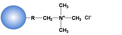 Cellufine Q-500的配体结构、将四级胺固定化的强阴离子交换介质