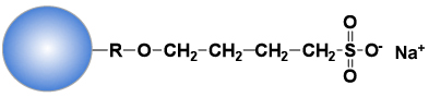 Ligand structure of Cellufine S-500, strong cation exchange resin with sulfone groups immobilized