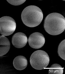 Elektronenmikroskopische Aufnahme von Cellufine ET Clean S