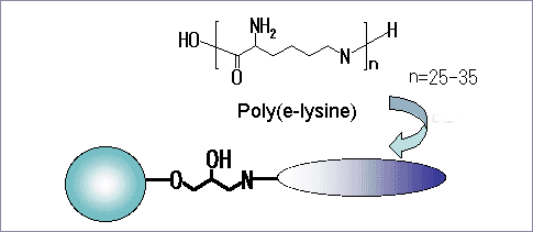 Ligand structure of Cellufine ET clean S