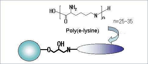 Elektronenmikroskopische Aufnahme von Cellufine ET Clean S