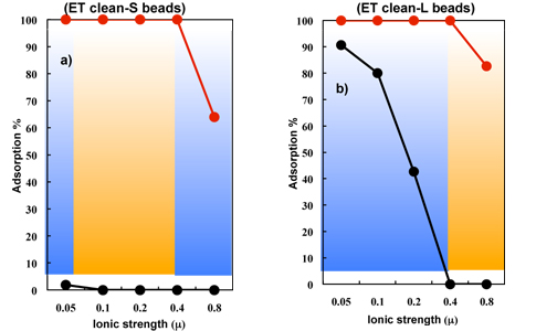 Selektive Adsorption von Endotoxin aus Rinderserumalbumin (BSA)