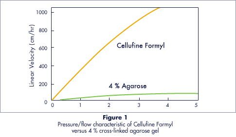 Charakteristische Daten zur Fließgeschwindigkeit von Cellufine Formyl