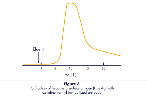 Reinigung des Hepatitis-B-Oberflächenantigens (HBs Ag) mit immobilisiertem Cellufine-Formyl-Antikörper