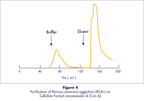 Purification data of RCA (ricinus communis agglutinin) with Cellufine Formyl. Immobilization of lectins (concanavalin A = ConA)