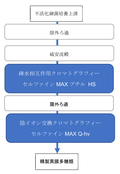 肺炎球菌ワクチンの精製プロセス