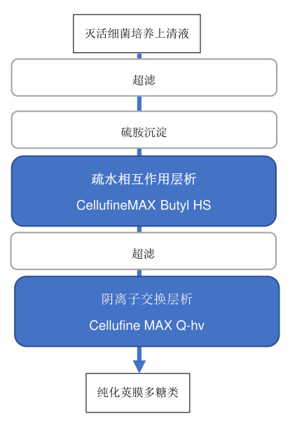 肺炎球菌疫苗纯化工艺