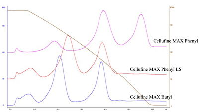 Protein elution pattern of Cellufine HIC resins