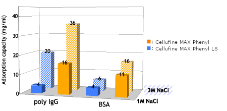 Comparison data of protein adsorption capacity of Cellufine MAX phenyl and Cellufine MAX phenyl LS