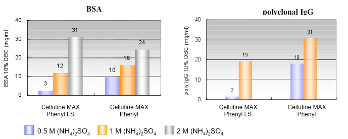 Comparison data of protein adsorption capacity of Cellufine MAX phenyl and Cellufine MAX phenyl LS