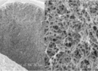 SEM analysis of Cellufine MAX base resin