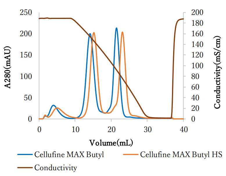 Cellufine MAX Butyl-Protein-Elutionsmuster