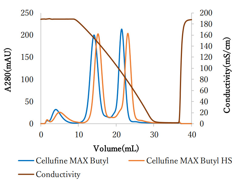 Cellufine MAX Butyl HS 的分离特性