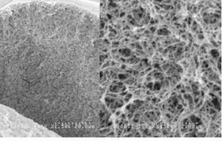 SEM photo of Cellufine MAX ion exchange resins