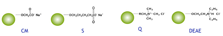 Ligandenstruktur der jeweiligen Qualitätsklasse des Cellufine MAX-Ionenaustauschers