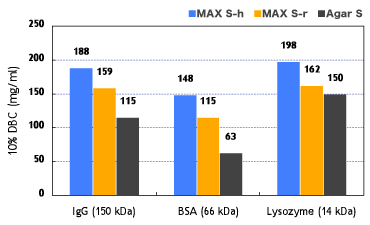 Vergleich der dynamischen Adsorptionsmenge zwischen Cellufine MAX S und einem handelsüblichem Agarose-Träger