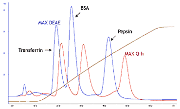 Comparison of separation patterns of model proteins of Cellufine MAX anion exchange resins