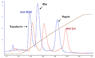 Modellproteintrennung von Cellufine MAX Qh und MAX DEAE