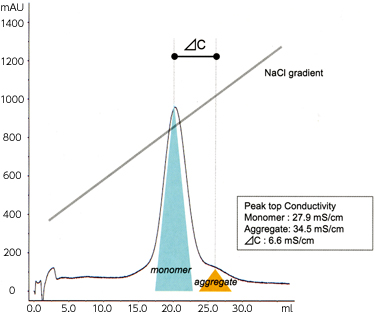 Separation characteristics of monoclonal antibody and dimer with Cellufine MAX GS 