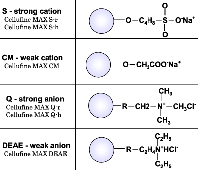 Ligand structure of Cellufine MAX ion exchange resins, CM type, S type, Q type, DEAE type