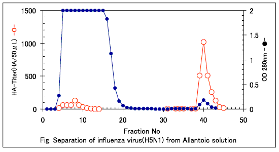 Purification of influenza H5N1 using Cellufine Sulfate mini-column