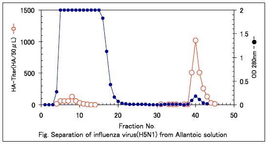 Reinigung von Influenzaviren mit der neuen Cellufine Sulfate Minisäule