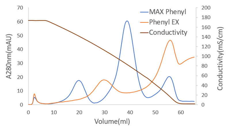 Cellufine Phenyl EX-Proteinelutionsmuster