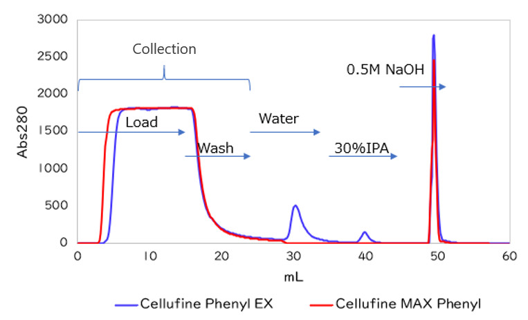 Removal of aggregates from monoclonal antibodies