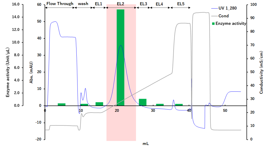 Chromatogram of T7 RNA polymerase purification