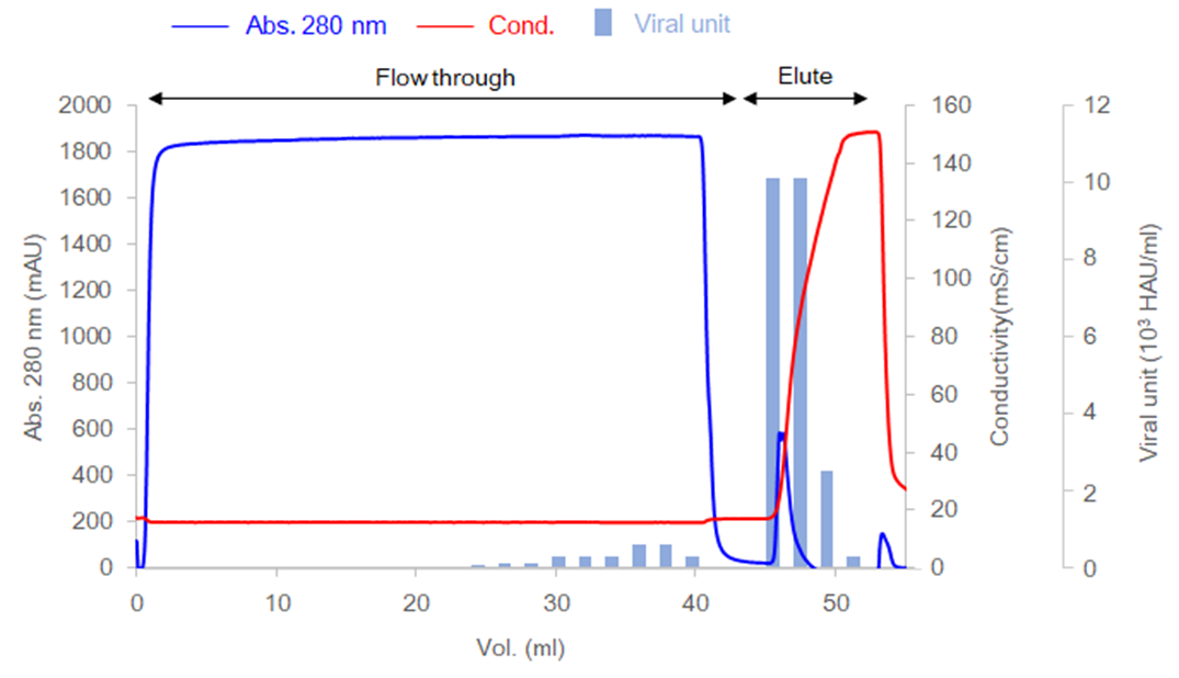 セルファイン サルフェイトによるヒトコロナウイルス（OC43）の精製データ
