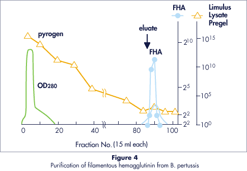 セルファイン サルフェイトによる百日咳菌由来の繊維状ヘマグルチニン（FHA）からのエンドトキシン除去データ