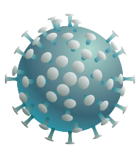 Influenza virus