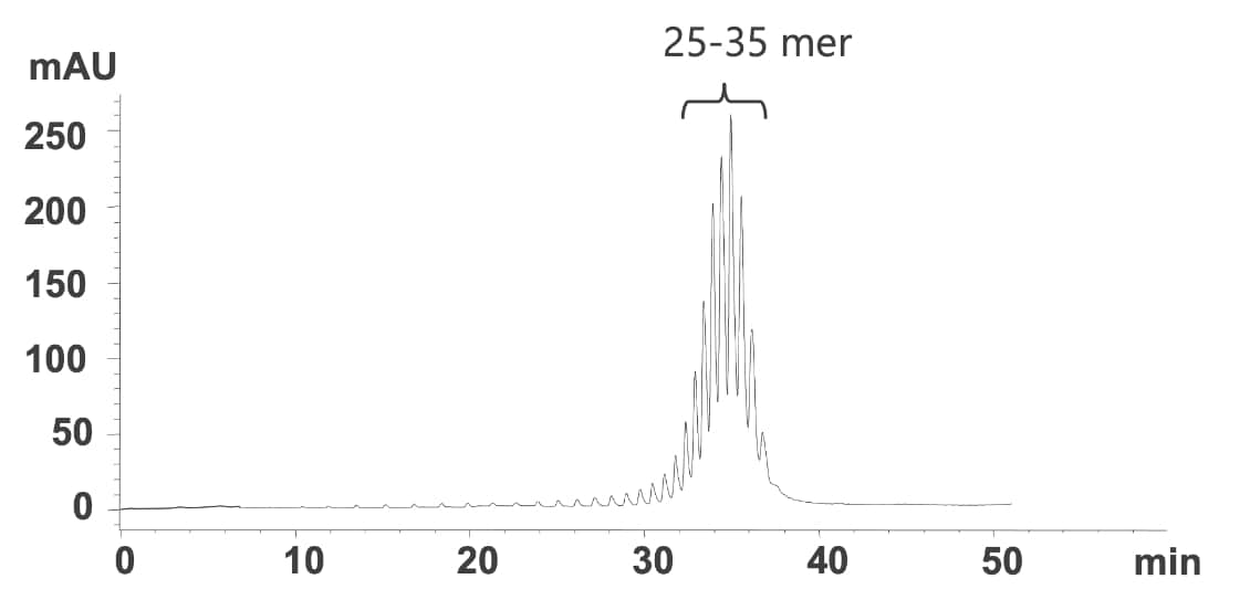 ポリリジンの重合度分布