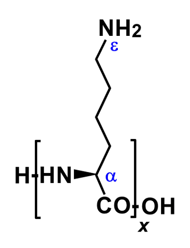 α-Polylysine