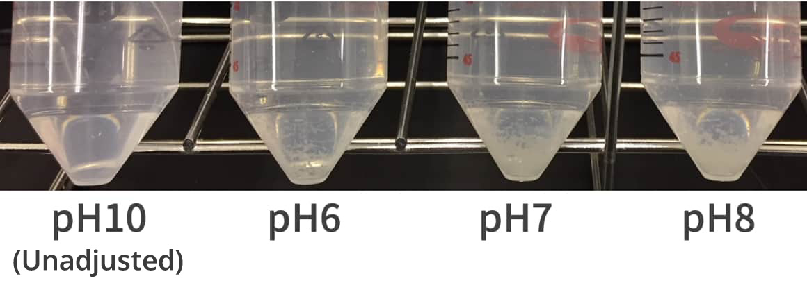 The action of ε-Polylysine on DNA derived from salmon semen.